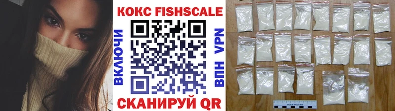 Cocaine FishScale  Купить закладки  Алушта 