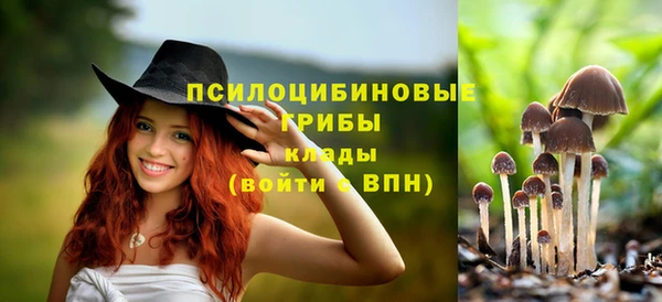 скорость Карталы