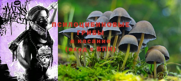 соль курить ск Касимов