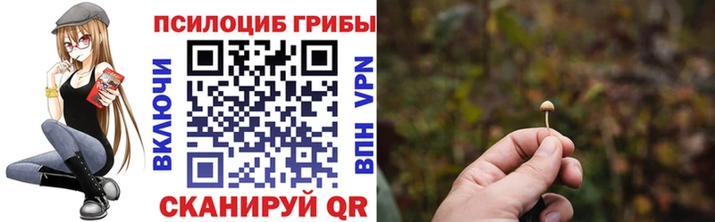 Купить где  Алушта  Галлюциногенные грибы GOLDEN TEACHER 